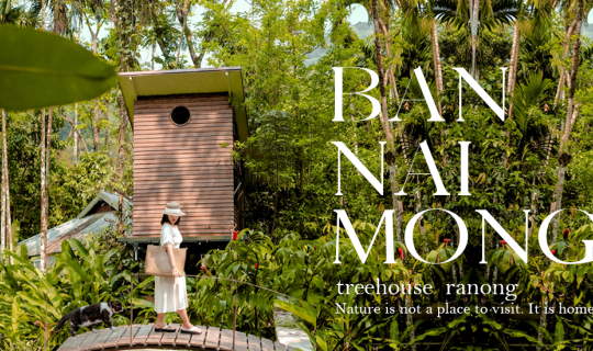 Cover บ้านในหมง 🌳🐝𝙏𝙧𝙚𝙚 𝙝𝙤𝙪𝙨𝙚 𝙍𝙖𝙣𝙤𝙣𝙜  ไปพักแล้วจะหลงรักขึ้...