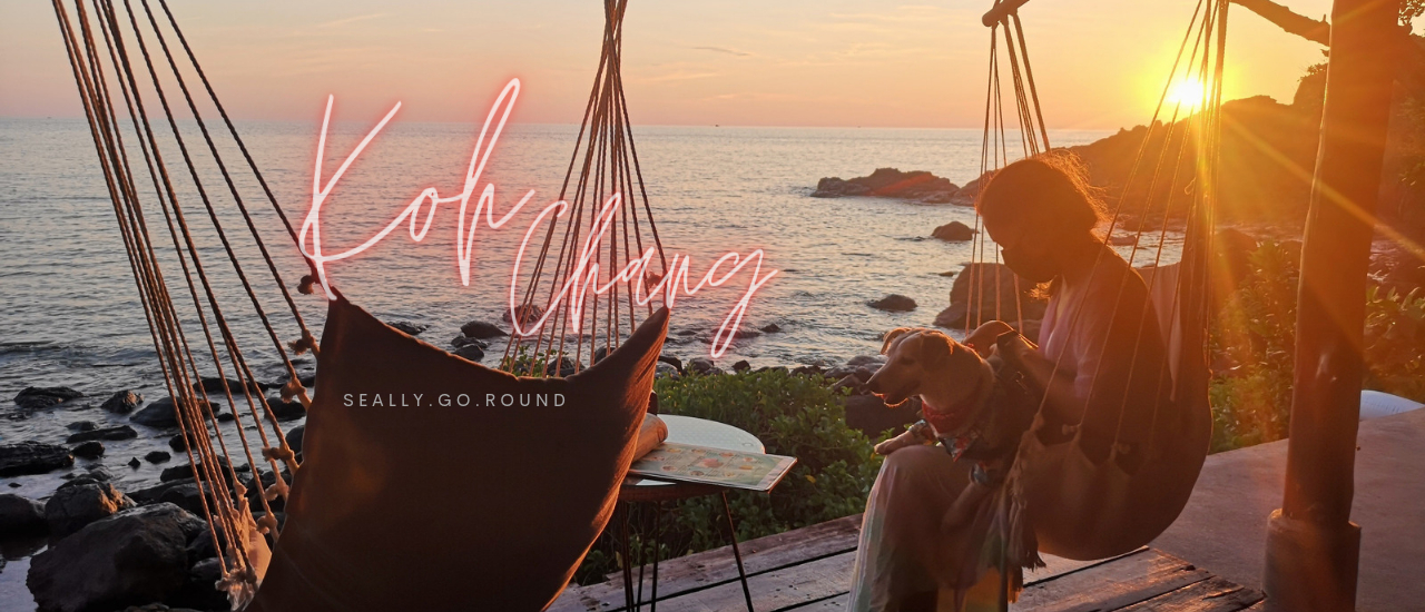 cover ช้าง ช้าง ช้าง . . . น้อง(หมา)เที่ยว 'เกาะช้าง' ด้วยได้ป่าวววว