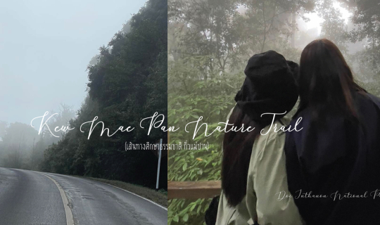 Cover เดินป่าระยะสั้น ที่ "กิ่วแม่ปาน" อุทยานแห่งชาติดอยอินทนนท์...