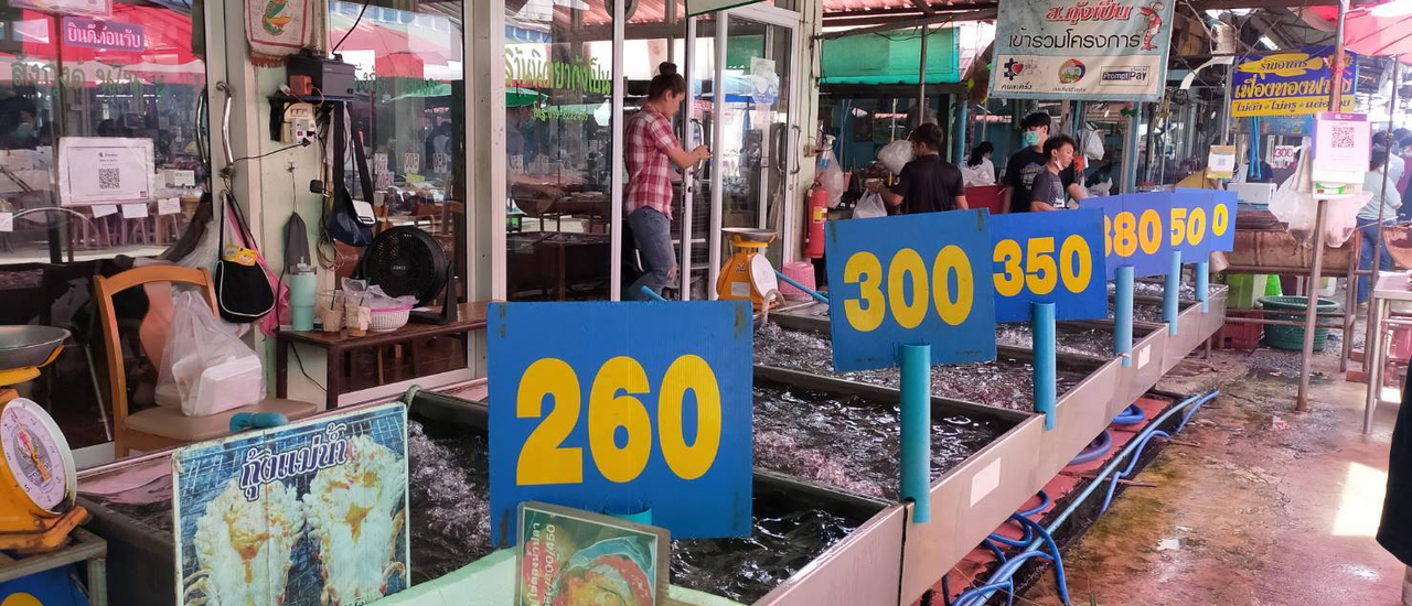 cover ร้านนิตยา ส.กุ้งเป็น @ ตลาดกลางเพื่อการเกษตร จังหวัดพระนครศรีอยุธยา