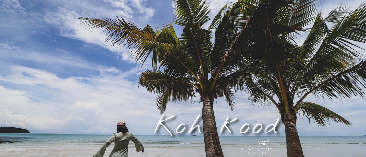 cover เกาะกูด ฟ้าใส ทะเลสวย.....