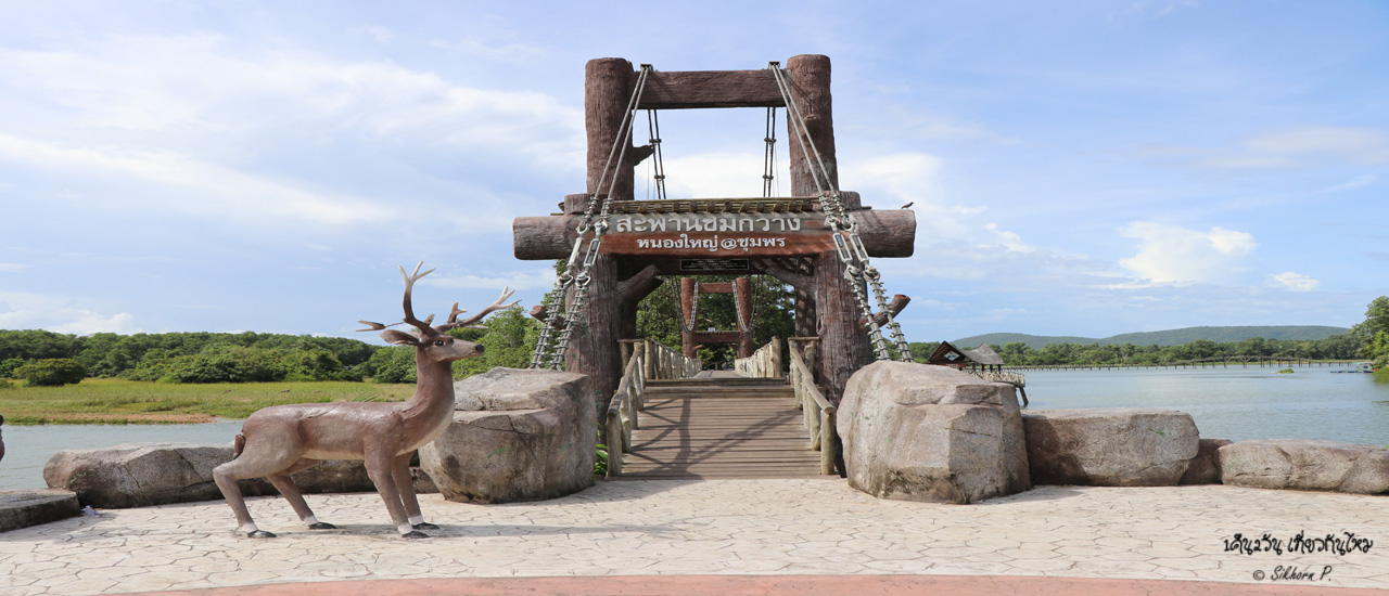 cover สะพานชมกวาง หนองใหญ่@ชุมพร