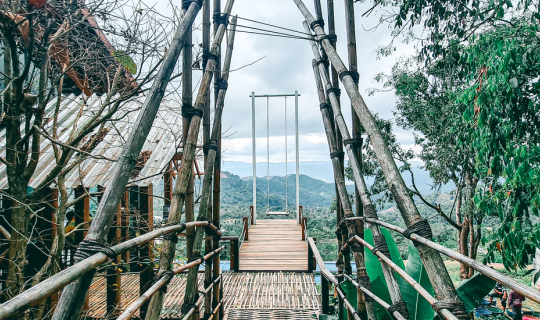 Cover YAYO FARM  จิบกาแฟชมวิวแบบพาโนรามาบนดอยช้าง จังหวัดเชียงราย...