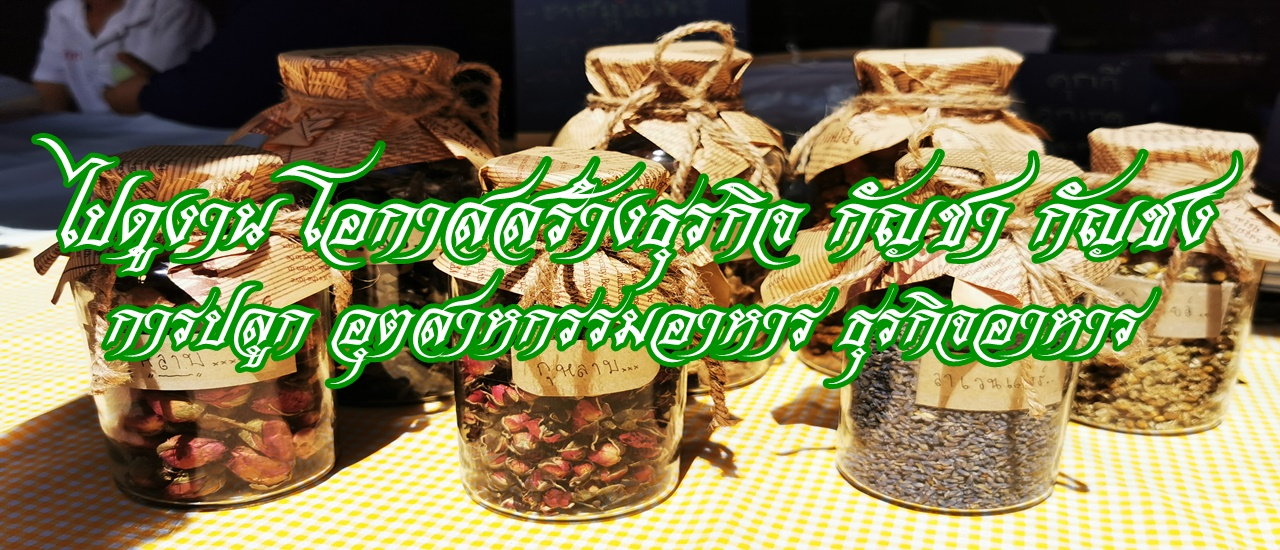 cover ไปดูงาน โอกาสสร้างธุรกิจ กัญชา กัญชง : การปลูก อุตสาหกรรมอาหาร ธุรกิจอาหาร