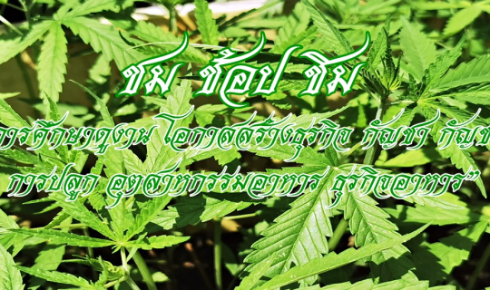 cover ชม ช้อป ชิม “การศึกษาดูงาน โอกาสสร้างธุรกิจ กัญชา กัญชง การปลูก อุตสาหกรรมอาหาร ธุรกิจอาหาร”