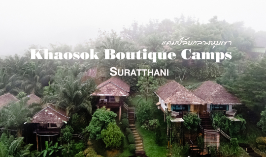 cover ที่พักกลางป่า สไตล์บาหลี @Khaosok Boutique Camps