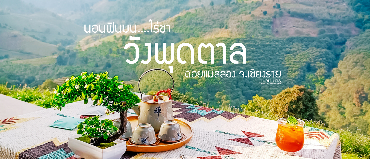 cover เชียงรายทริป Day 1 - ไร่ชา "วังพุดตาล " ดอยแม่สลอง จ.เชียงราย