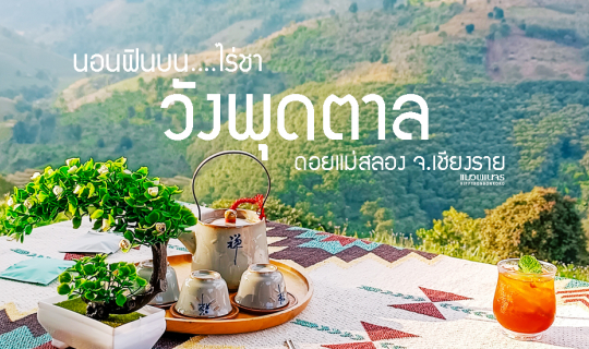 cover เชียงรายทริป Day 1 - ไร่ชา "วังพุดตาล " ดอยแม่สลอง จ.เชียงราย