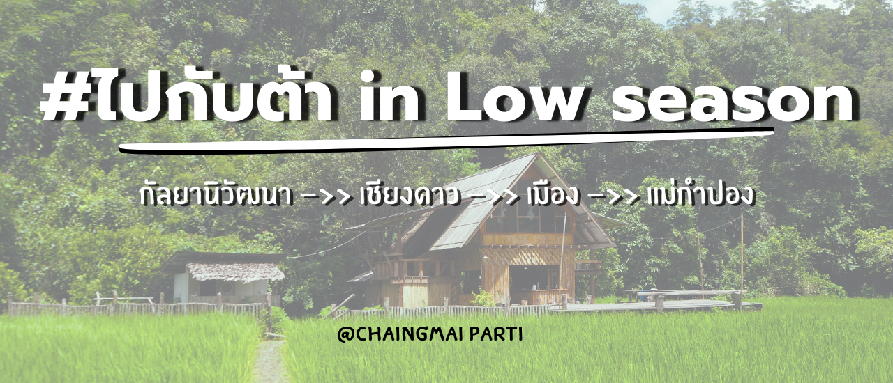 cover #ไปกับต้า in Low Season