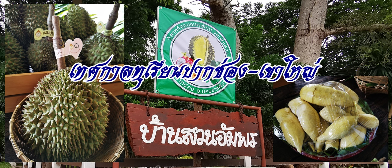 cover ชมบ้านสวนอัมพร ปากช่อง ก่อน เทศกาลทุเรียนปากช่อง - เขาใหญ่ มาเยือน