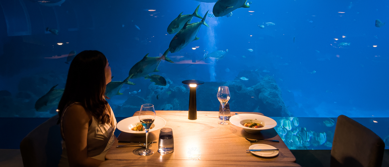 cover รีวิว Ocean Restaurant ดินเนอร์ fine dining สุดหรูที่สิงคโปร์