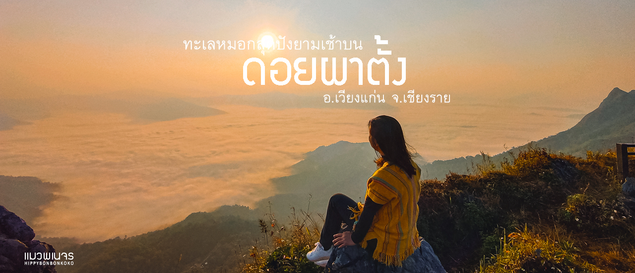 cover เชียงรายทริป Day 2 - ชมทะเลหมอกสุดปังยามเช้า บนดอยผาตั้ง จ.เชียงราย