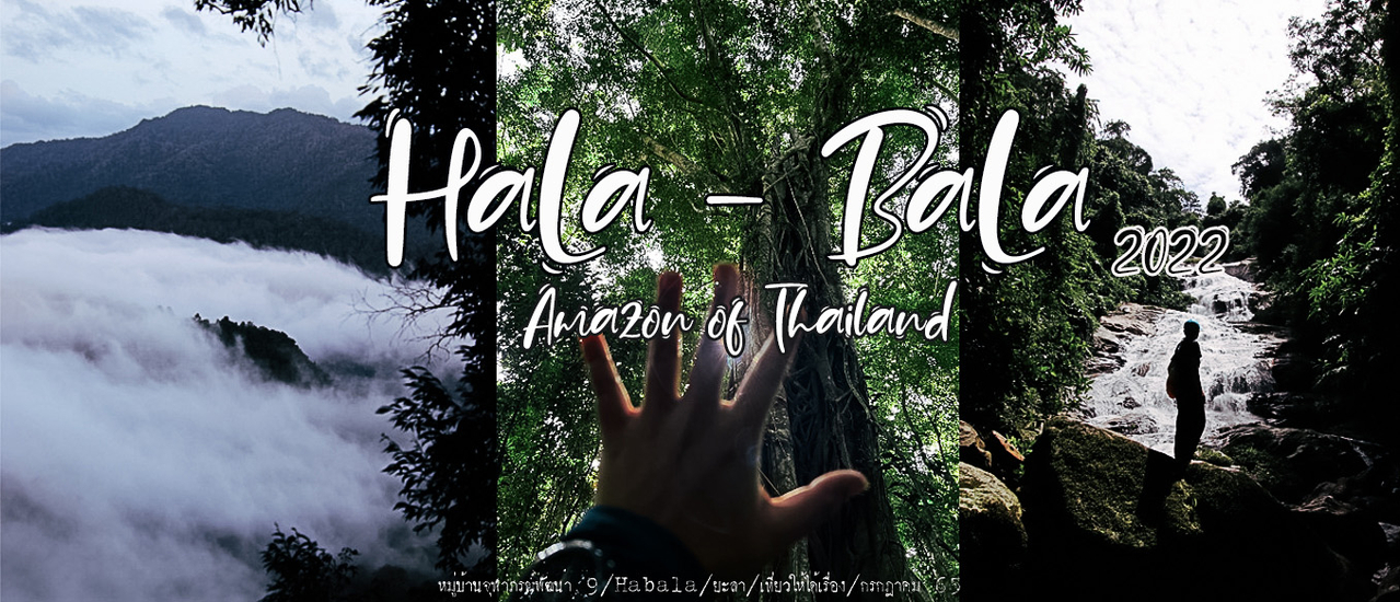 cover ฮาลาบาลา ผืนป่าแห่งแดนใต้