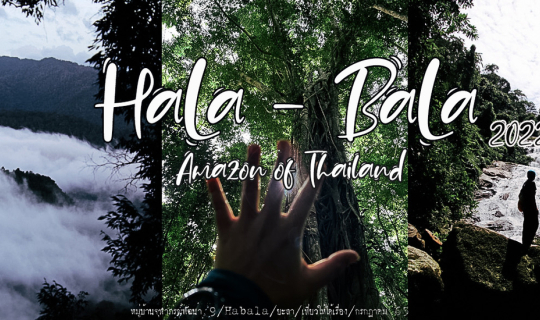 Cover ฮาลาบาลา ผืนป่าแห่งแดนใต้...