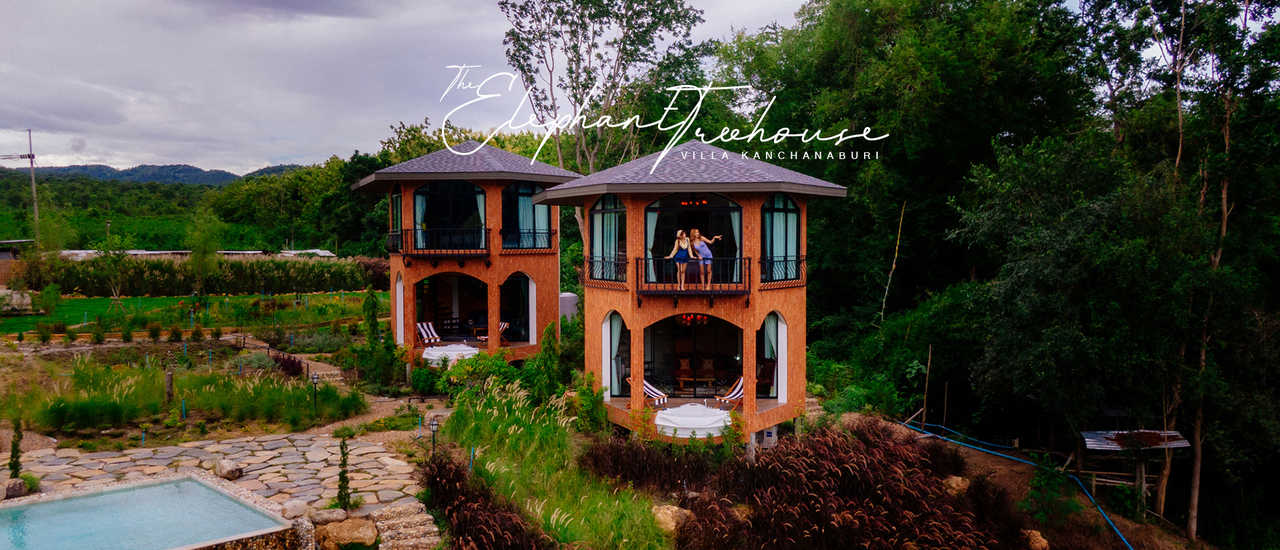 cover The Elephant Treehouse บ้านต้นไม้สุดชิลพร้อมวิวสวยโคตร