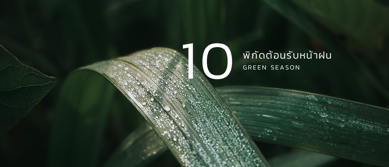 cover 10 พิกัดต้อนรับหน้าฝน