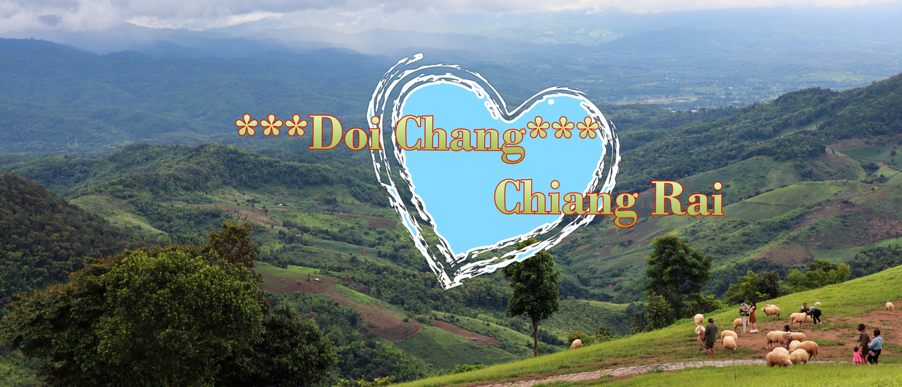 cover ดอยช้าง in the rainy season ^^