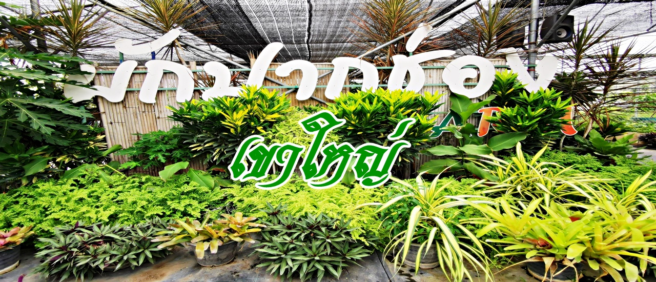 cover สวนผักปากช่อง .... สวนผักเพื่อการเรียนรู้การเกษตร และกิจกรรมสำหรับครอบครัว