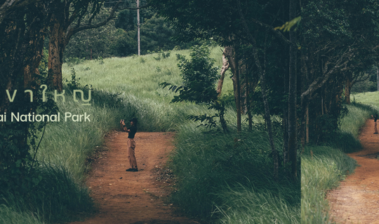 Cover เ ข า ใ ห ญ่ -  ห น้ า ฝ น...