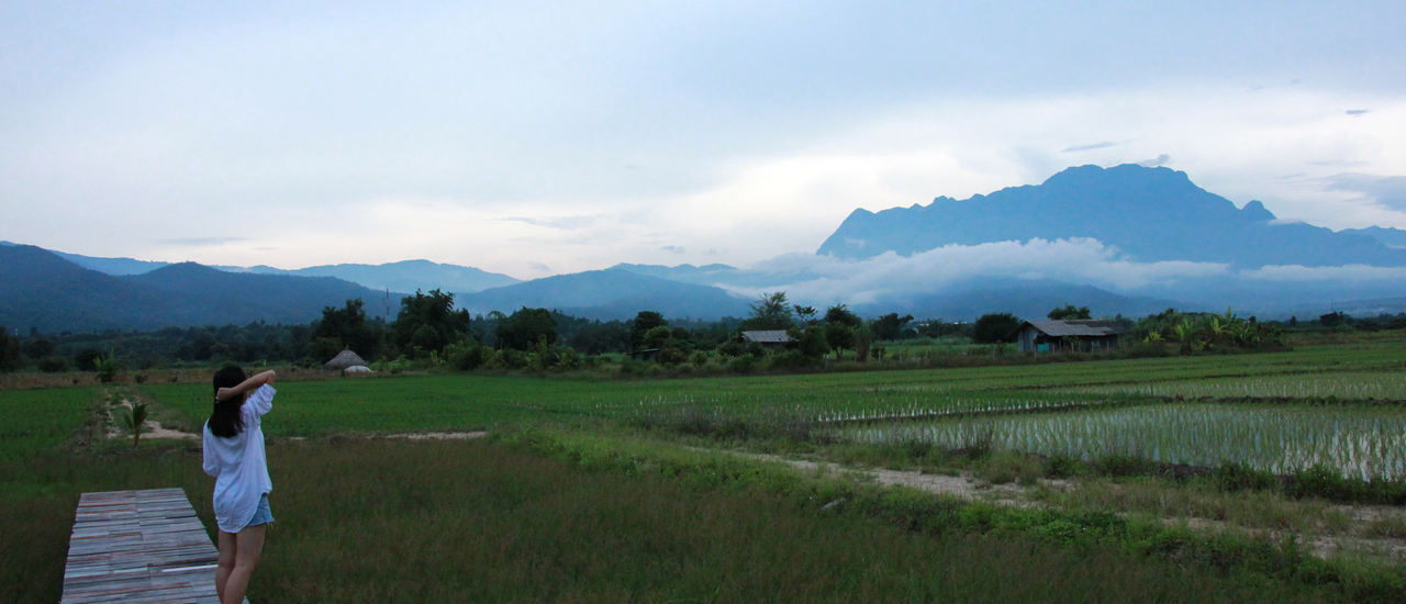 cover นอนนาดูดอย, เชียงดาว