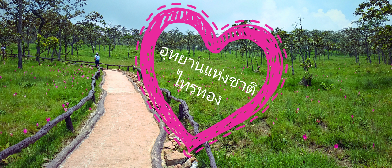 cover ทุ่งบัวสวรรค์เบ่งบาน  ณ อุทยานแห่งชาติไทรทอง^^