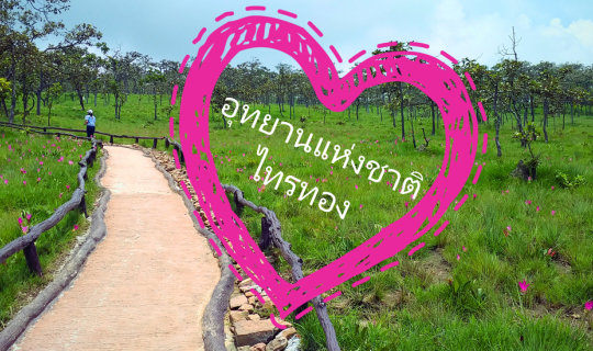 cover ทุ่งบัวสวรรค์เบ่งบาน  ณ อุทยานแห่งชาติไทรทอง^^