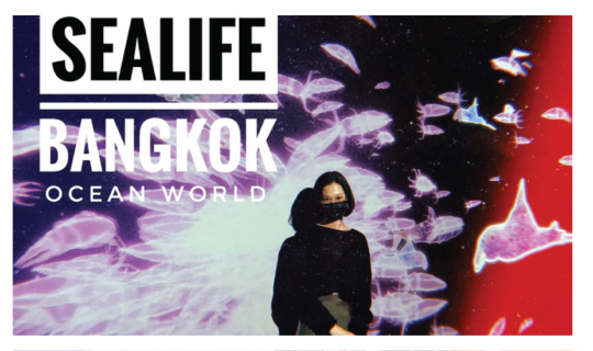 Cover SEA LIFE Bangkok Ocean World....