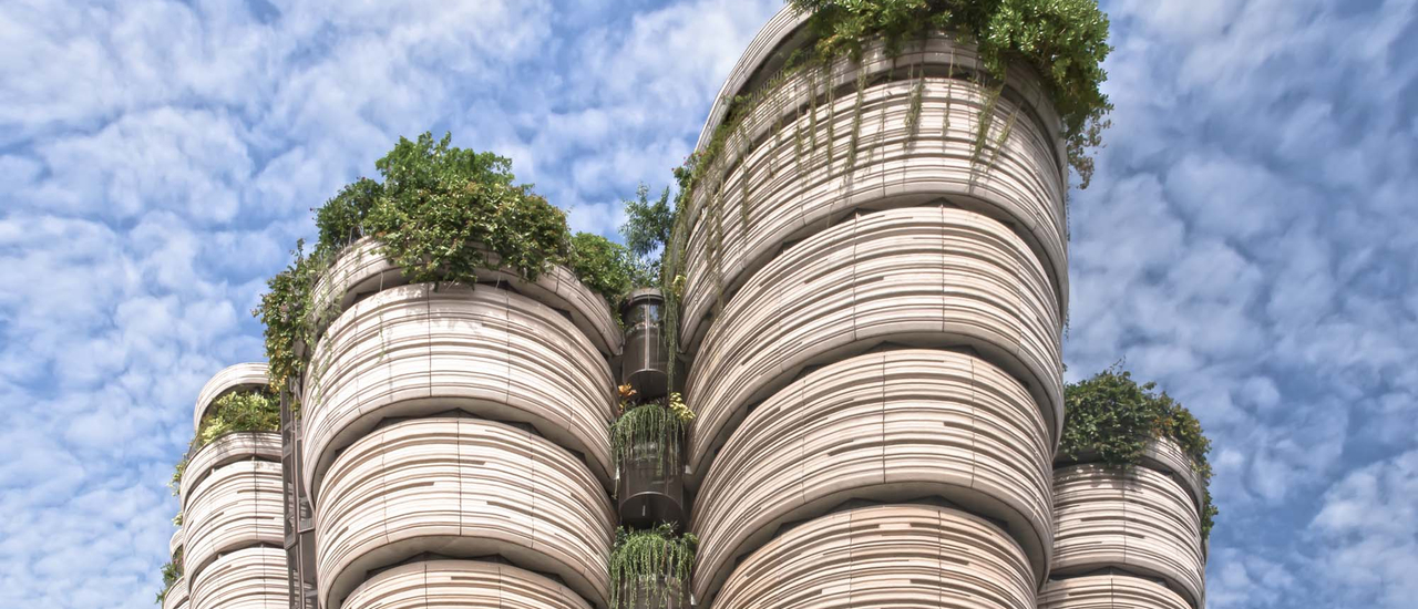 cover ตึกติ่มซัมที่ สิงคโปร์ The Hive Singapore