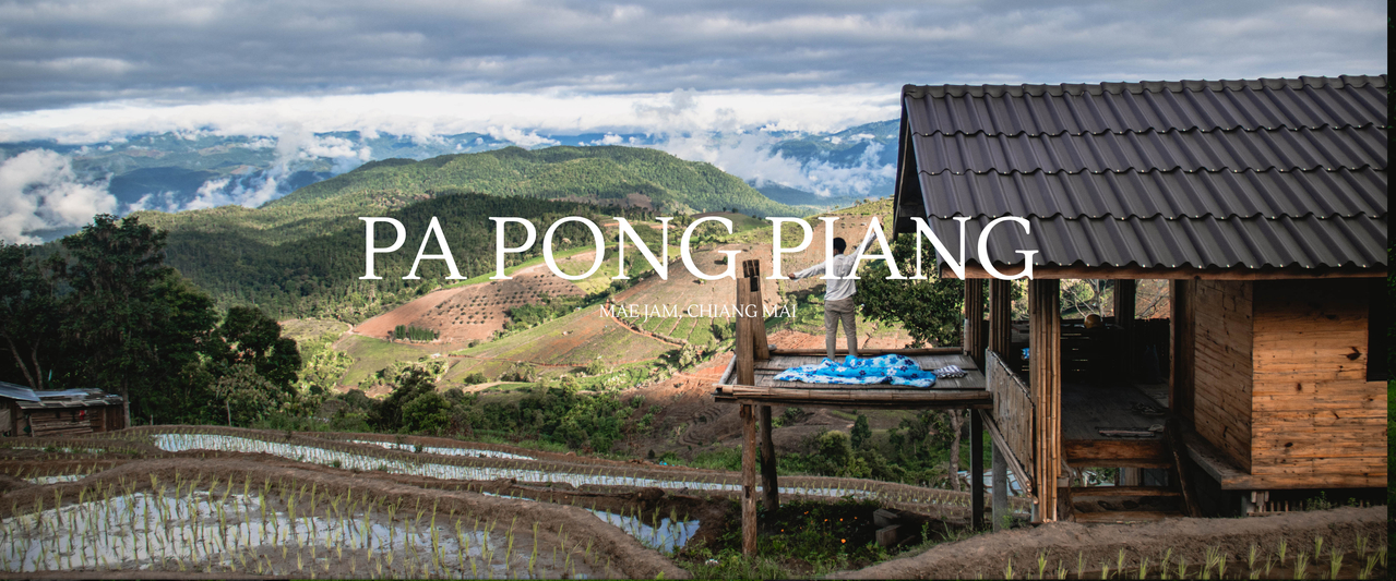 cover Pa Pong Piang, Chiang Mai | เชียงใหม่หน้าฝน