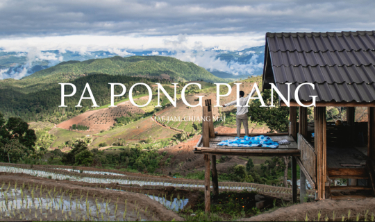 Cover Pa Pong Piang, Chiang Mai | เชียงใหม่หน้าฝน...