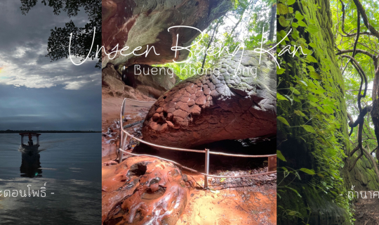 Cover บึงกาฬหน้าฝน กับ ดินแดนที่ถูกสาป...