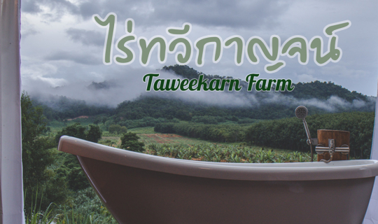 Cover ที่พักในสวนทุเรียนป่าละอู อู้หูดีงาม เกินต้านมาก !!!...