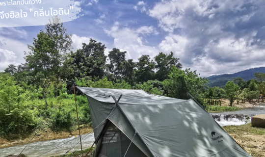 Cover เพราะโลกมันกว้าง...กลิ่นดินจึงฮิลใจ "กลิ่นไอดิน"...