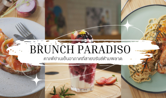 cover ชวนชิลที่คาเฟ่ ย่านเย็นอากาศ - Brunch Paradiso - ร้านอาหารบรันซ์ที่ต้อนรับน้องสี่ขา