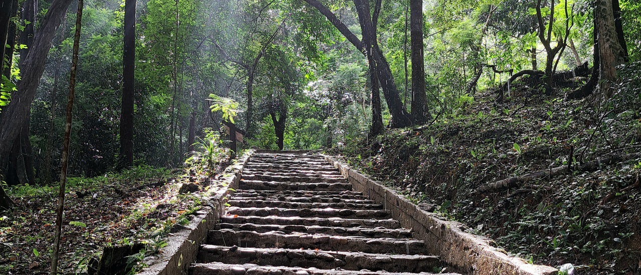 cover ตะลุยเมืองฝนแปดแดดสี่ ตอน อุทยานแห่งชาติน้ำตกหงาว จ.ระนอง