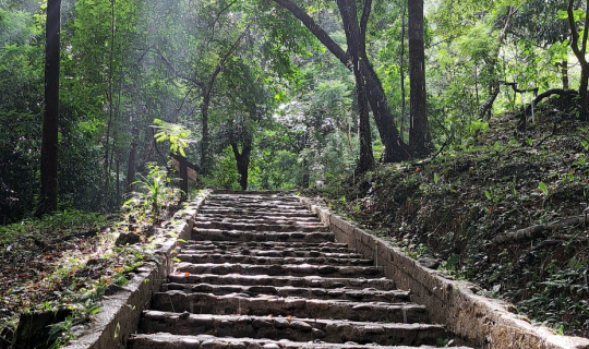 cover ตะลุยเมืองฝนแปดแดดสี่ ตอน อุทยานแห่งชาติน้ำตกหงาว จ.ระนอง