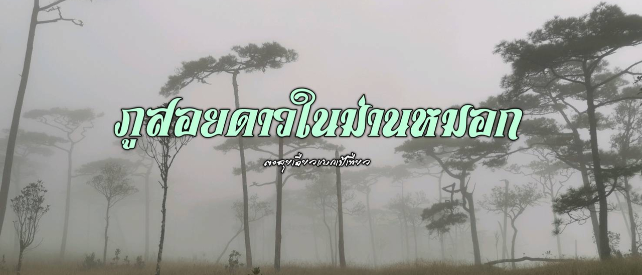 cover ภูสอยดาวในม่านหมอก