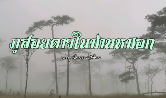 cover ภูสอยดาวในม่านหมอก