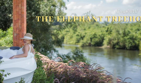 Cover บ้านต้นไม้หลังใหม่...แห่งเมืองกาญจน์🍃...