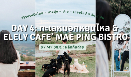 cover รีวิวบ้านรักไทย – ปางอุ๋ง – ปาย - เชียงใหม่ 5 วัน 4 คืน | Day 4: ทะเลหมอกหยุนไหล & Elely Cafe’ Mae Ping Bistro