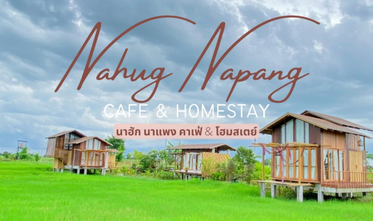 Cover BURIRAM : นาฮัก นาแพง คาเฟ่ & โฮมสเตย์ท่ามกลางทุ่งนาเขียวขจี 🌧🌿🌾...