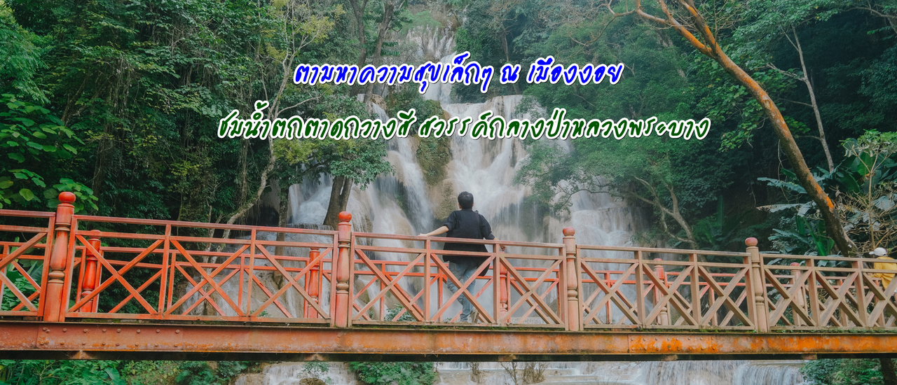 cover (ทริปเที่ยวลาว) Day 4 ตามหาความสุขเล็กๆ เมืองงอย  ชมน้ำตกตาดกวางสี สวรรค์กลางป่าหลวงพระบาง