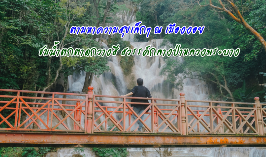 cover (ทริปเที่ยวลาว) Day 4 ตามหาความสุขเล็กๆ เมืองงอย  ชมน้ำตกตาดกวางสี สวรรค์กลางป่าหลวงพระบาง