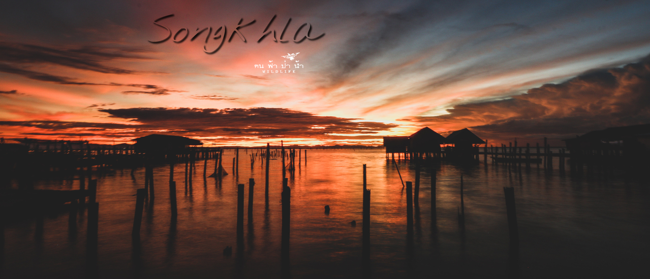 cover สงขลาเบาๆ ถนนนางงาม เกาะยอ ทะเลสาบสงขลา