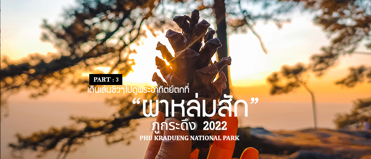 cover ภูกระดึง DAY 2 - การเดินทางหลายกิโลเมตร เพื่อชมพระอาทิตย์ตกที่ "ผาหล่มสัก"