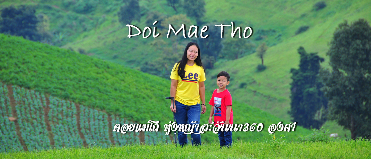 cover ดอยแม่โถ ทุ่งหญ้าสะวันนาเมืองไทย มุมมอง360 องศากับฤดูสีเขียว