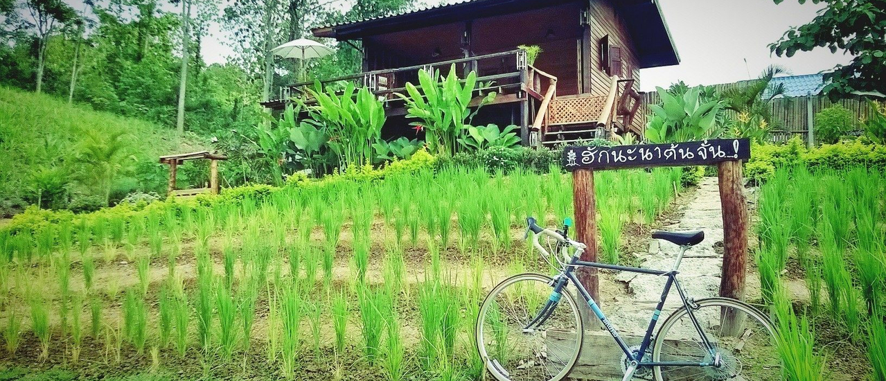 cover มหัศจรรย์โฮมสเตย์…ฮักนะนาต้นจั่น