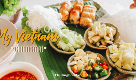cover MY VIETNAM - อาหารเวียดนามแท้ๆในเชียงใหม่ที่เปิดมากว่า 30 ปี