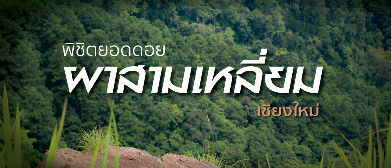 cover "ห้วยกุ๊บกั๊บ" นอนโฮมสเตย์ (บ้านสานฝันโฮมสเตย์) พาขึ้นยอดดอยผาสามเหลี่ยม | แก้มกลมพาเที่ยว