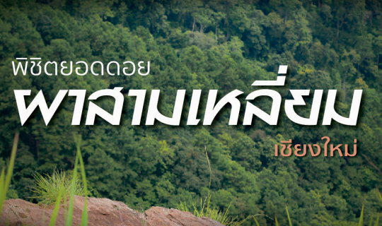 cover "ห้วยกุ๊บกั๊บ" นอนโฮมสเตย์ (บ้านสานฝันโฮมสเตย์) พาขึ้นยอดดอยผาสามเหลี่ยม | แก้มกลมพาเที่ยว